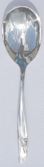 Exquisite Casserole Spoon