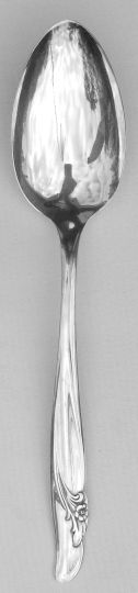 Exquisite Table Serving Spoon