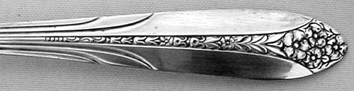 National Silver Company Princess Royal 1930 Silverplated Flatware