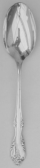 Southern Splendor Silver Plate Table Serving Spoon